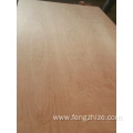 Wholesale PENCIL CEDAR PLYWOOD